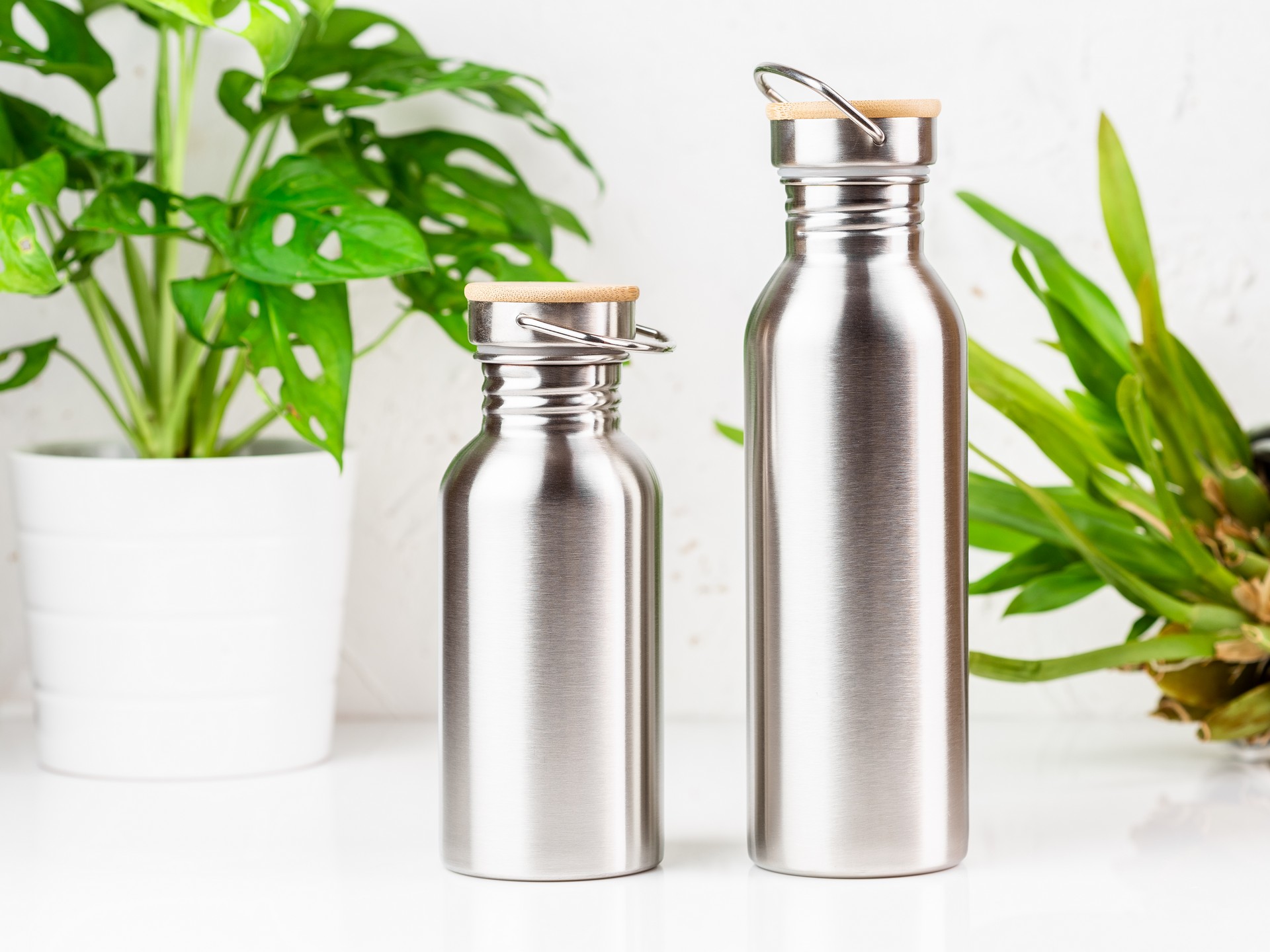 Sustainable Packaging Trends 2025: Why Aluminum is Leading the Green Revolution